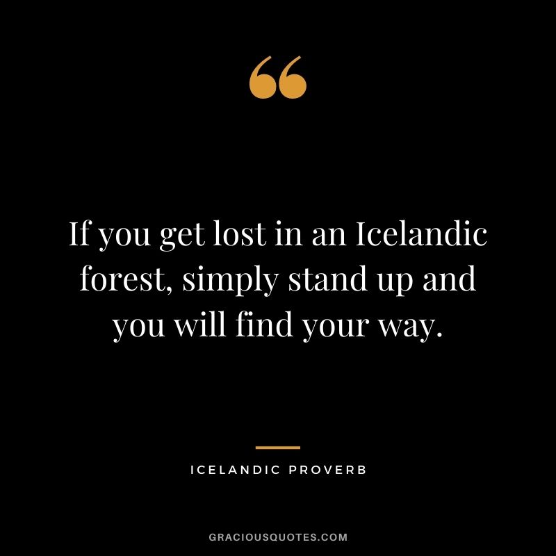 If you get lost in an Icelandic forest, simply stand up and you will find your way.