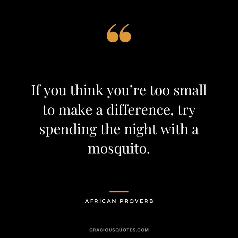 If you think you’re too small to make a difference, try spending the night with a mosquito.