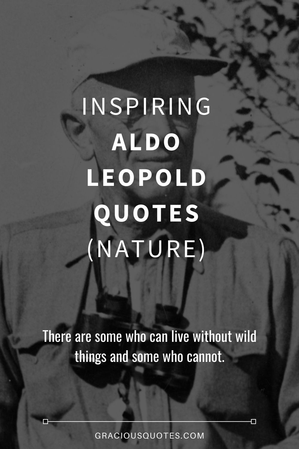 Inspiring Aldo Leopold Quotes (NATURE) - Gracious Quotes