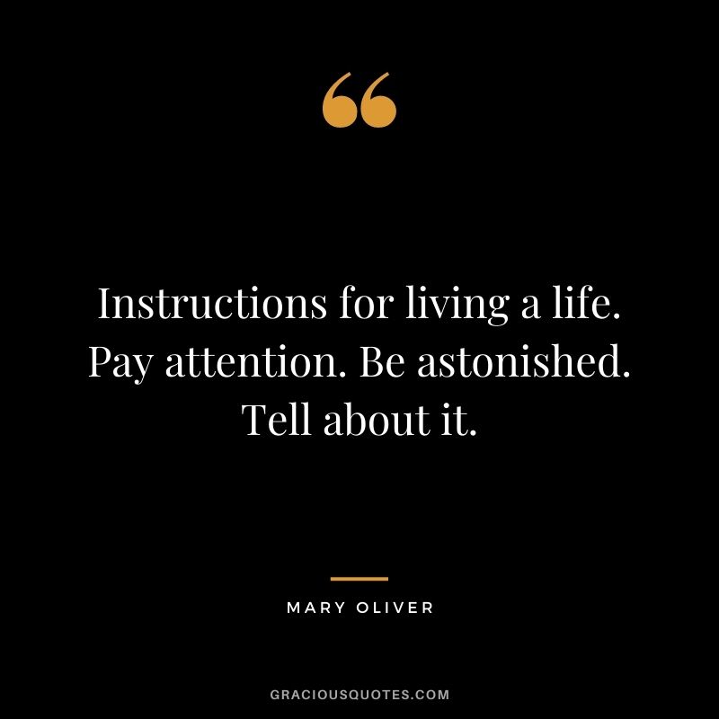 Instructions for living a life. Pay attention. Be astonished. Tell about it.