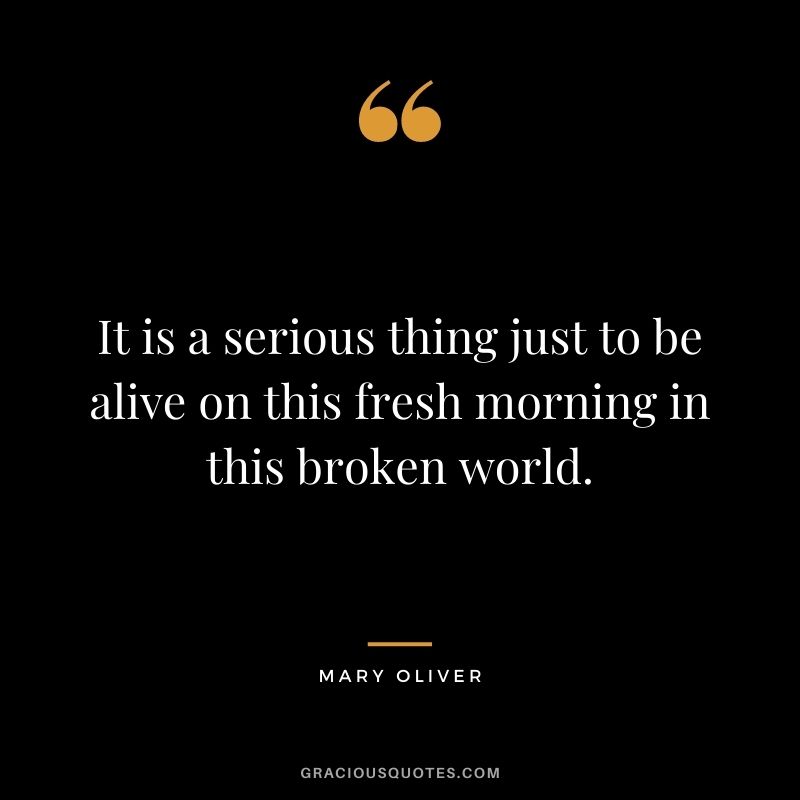 It is a serious thing just to be alive on this fresh morning in this broken world.