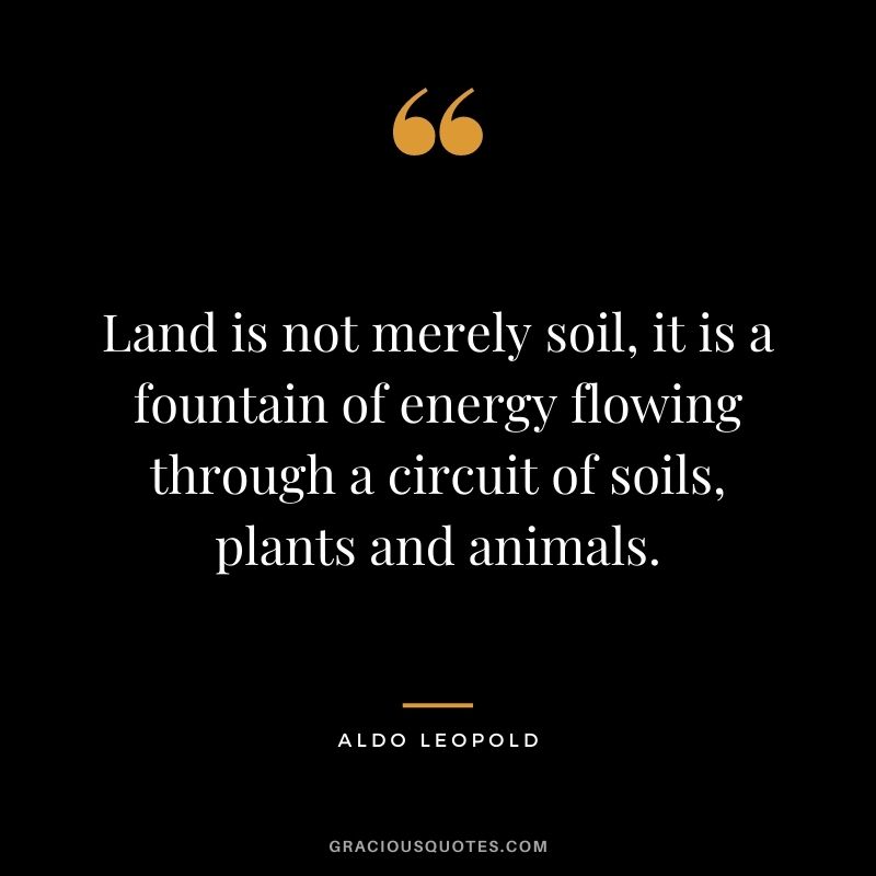 Land is not merely soil, it is a fountain of energy flowing through a circuit of soils, plants and animals.
