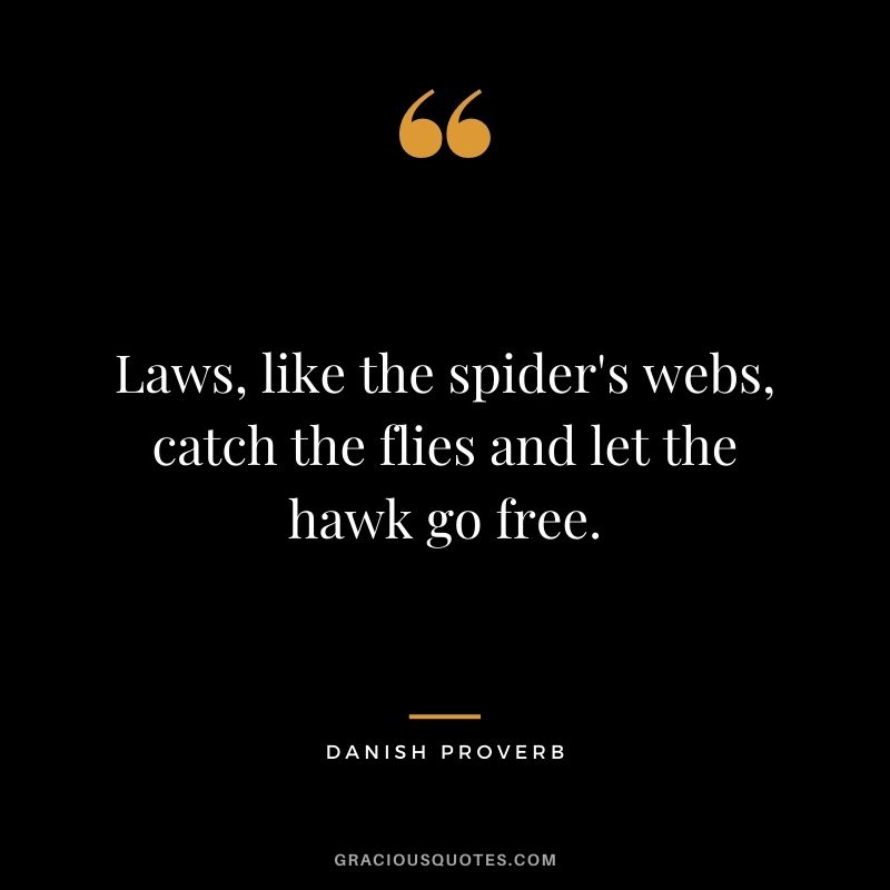 Laws, like the spider's webs, catch the flies and let the hawk go free.