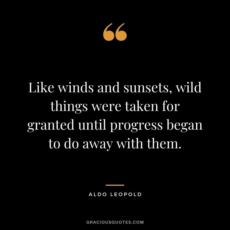 Like winds and sunsets, wild things were taken for granted until progress began to do away with them.