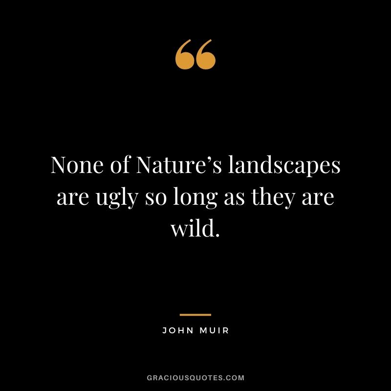 None of Nature’s landscapes are ugly so long as they are wild.