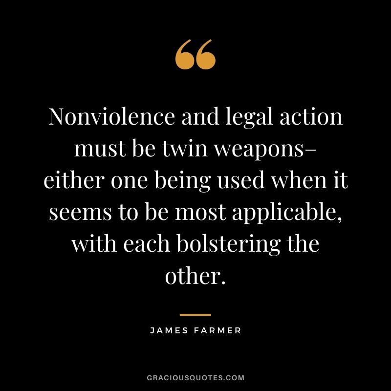 Nonviolence and legal action must be twin weapons– either one being used when it seems to be most applicable, with each bolstering the other.