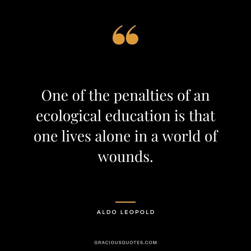 One of the penalties of an ecological education is that one lives alone in a world of wounds.
