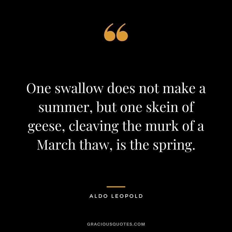 One swallow does not make a summer, but one skein of geese, cleaving the murk of a March thaw, is the spring.