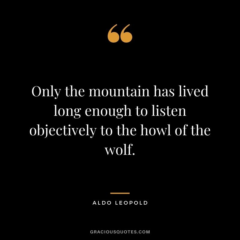 Only the mountain has lived long enough to listen objectively to the howl of the wolf.