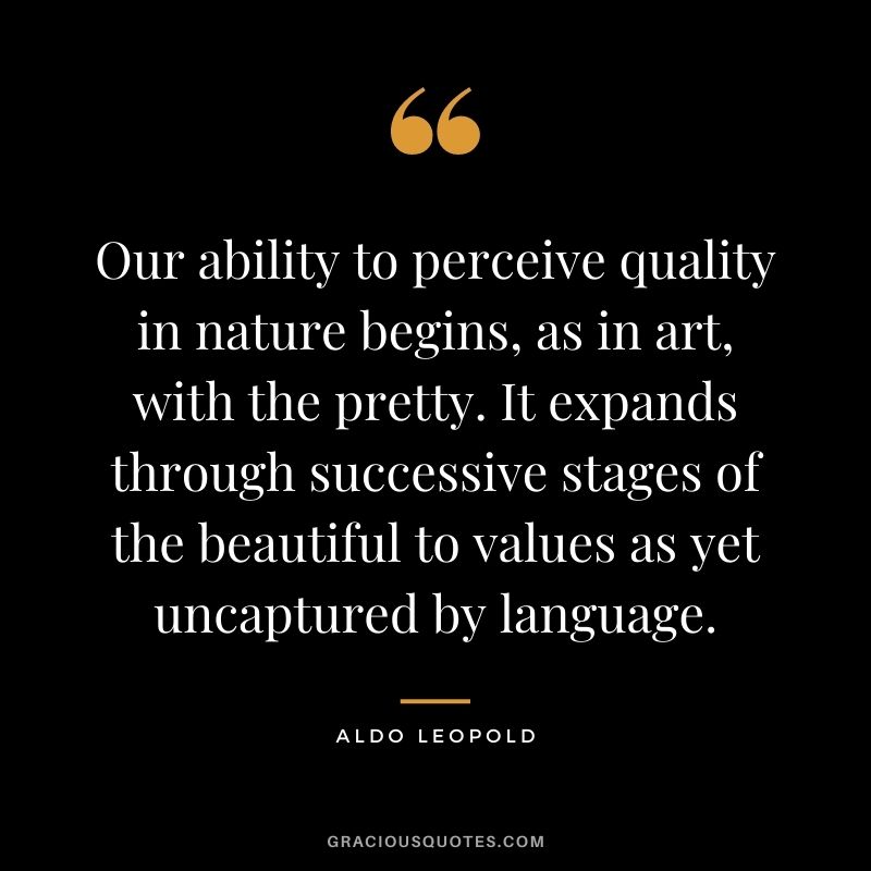 Our ability to perceive quality in nature begins, as in art, with the pretty. It expands through successive stages of the beautiful to values as yet uncaptured by language.