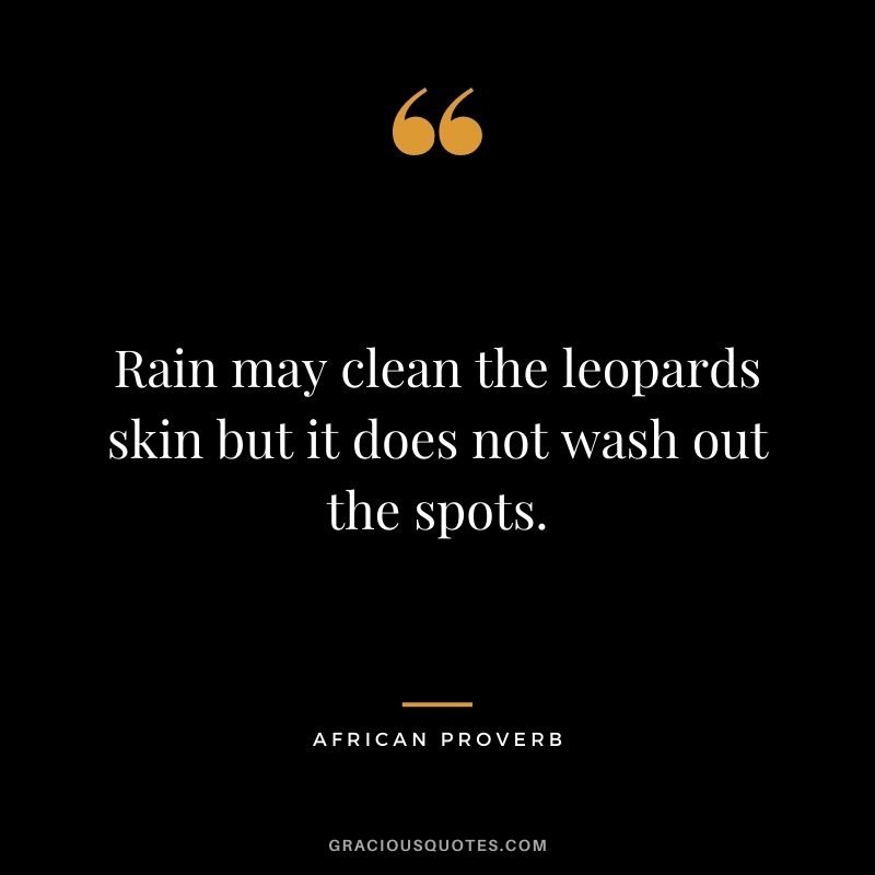 Rain may clean the leopards skin but it does not wash out the spots.