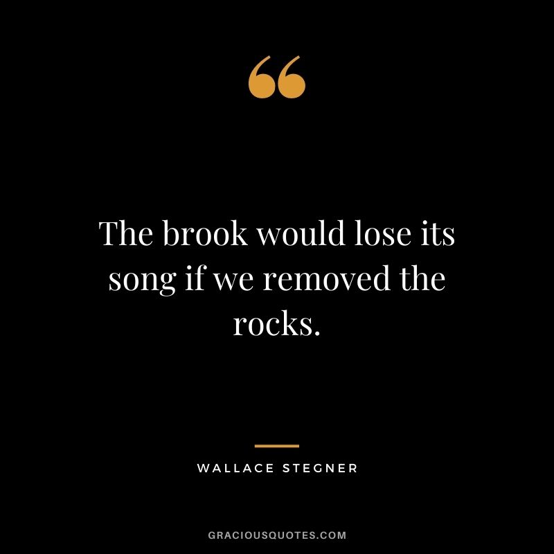 The brook would lose its song if we removed the rocks.