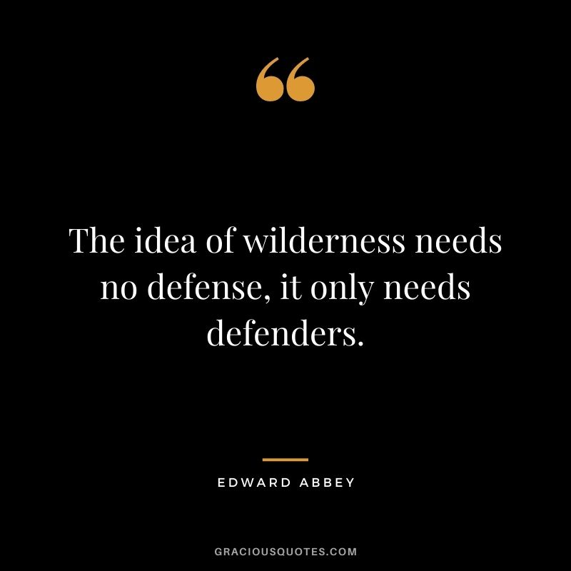The idea of wilderness needs no defense, it only needs defenders.