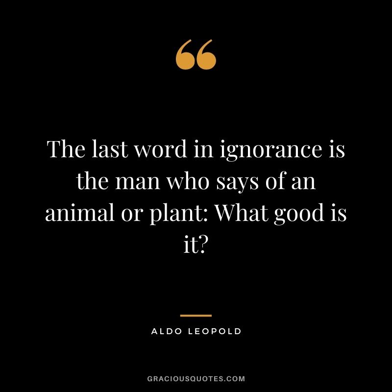 The last word in ignorance is the man who says of an animal or plant: What good is it?