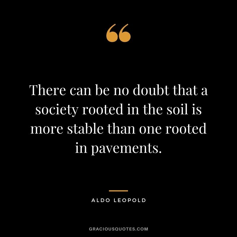 There can be no doubt that a society rooted in the soil is more stable than one rooted in pavements.