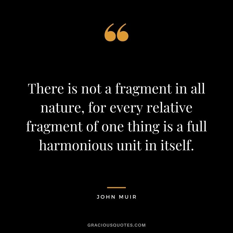 There is not a fragment in all nature, for every relative fragment of one thing is a full harmonious unit in itself.