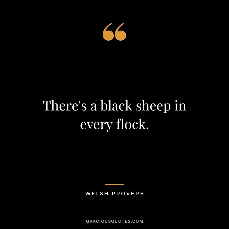 There's a black sheep in every flock.