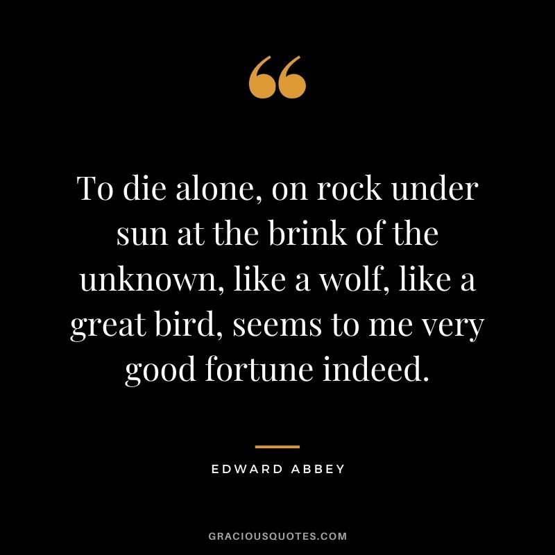 To die alone, on rock under sun at the brink of the unknown, like a wolf, like a great bird, seems to me very good fortune indeed.