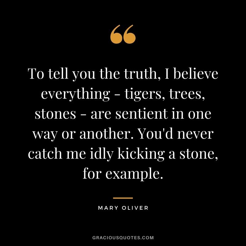 To tell you the truth, I believe everything - tigers, trees, stones - are sentient in one way or another. You'd never catch me idly kicking a stone, for example.