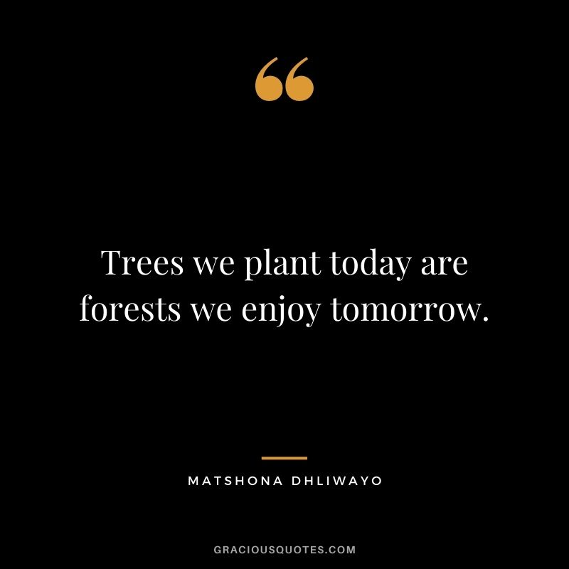 Trees we plant today are forests we enjoy tomorrow.