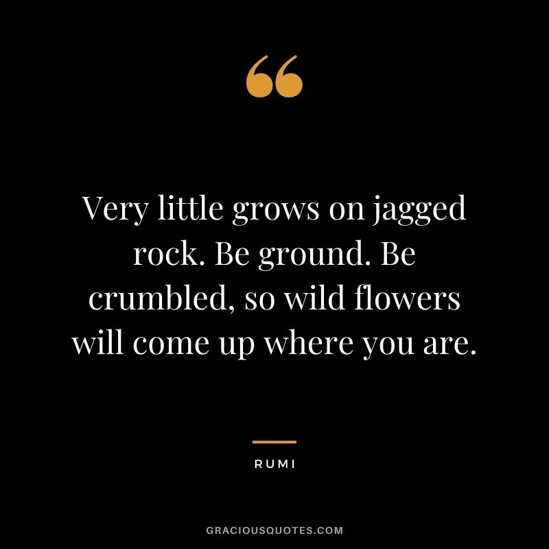 Very little grows on jagged rock. Be ground. Be crumbled, so wild flowers will come up where you are.