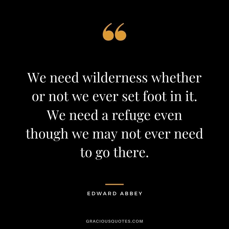 We need wilderness whether or not we ever set foot in it. We need a refuge even though we may not ever need to go there.