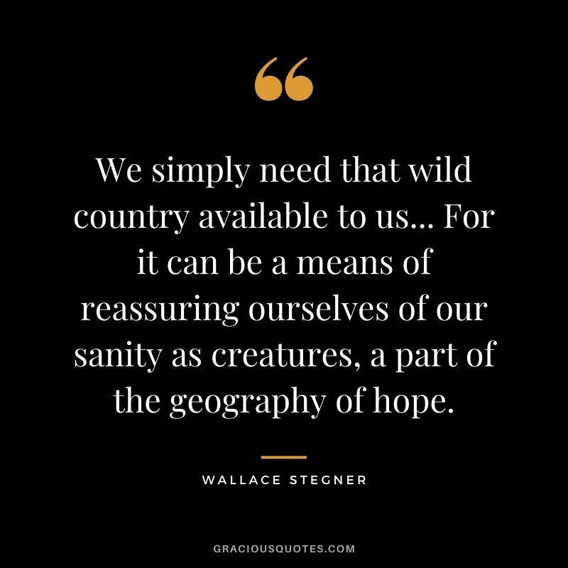 We simply need that wild country available to us... For it can be a means of reassuring ourselves of our sanity as creatures, a part of the geography of hope.