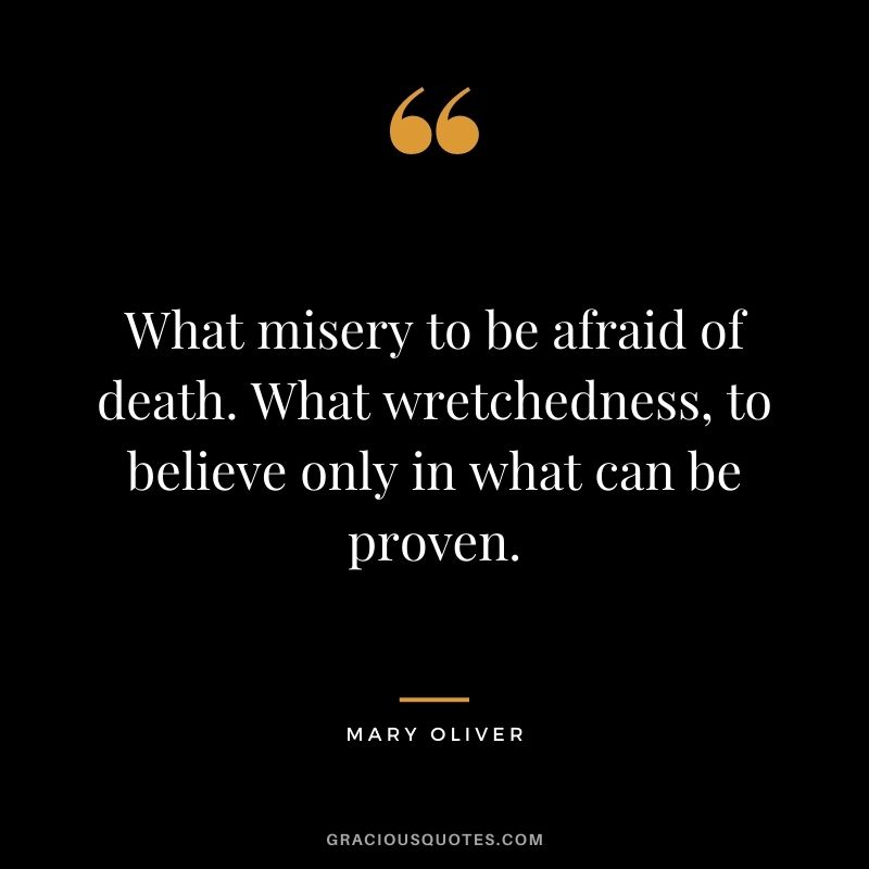 What misery to be afraid of death. What wretchedness, to believe only in what can be proven.