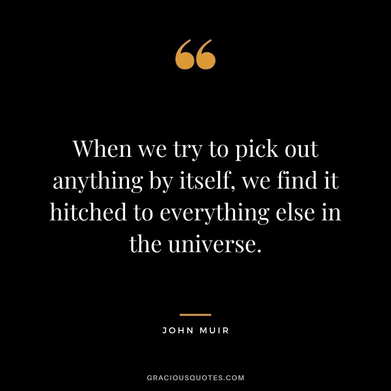 When we try to pick out anything by itself, we find it hitched to everything else in the universe.