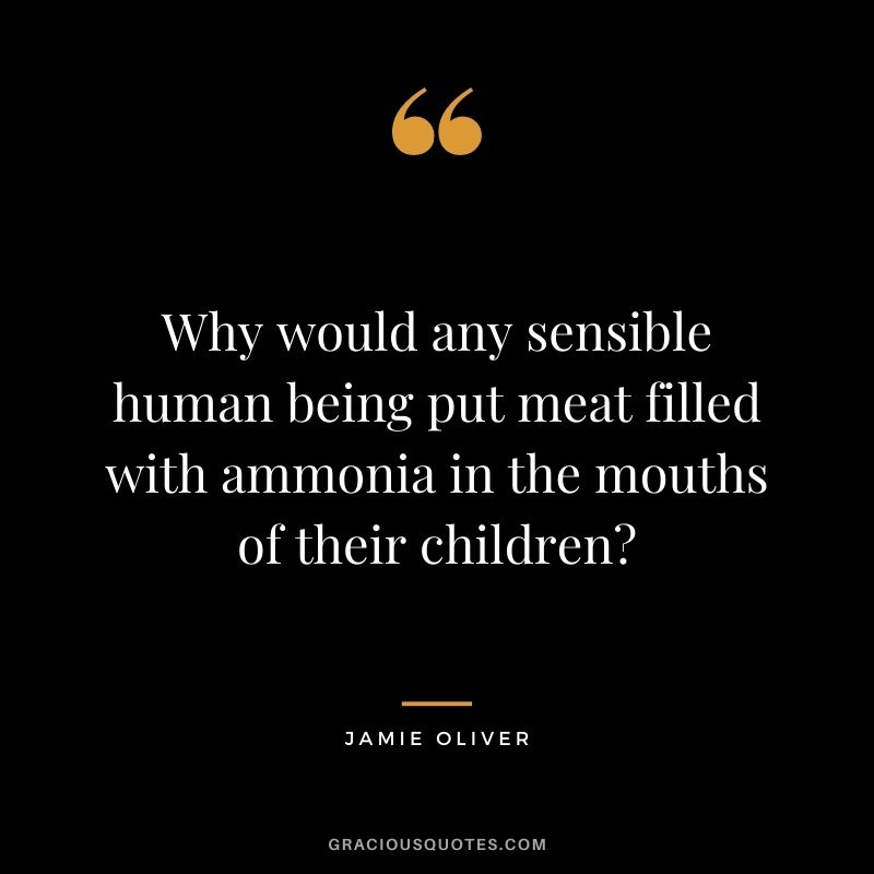 Why would any sensible human being put meat filled with ammonia in the mouths of their children