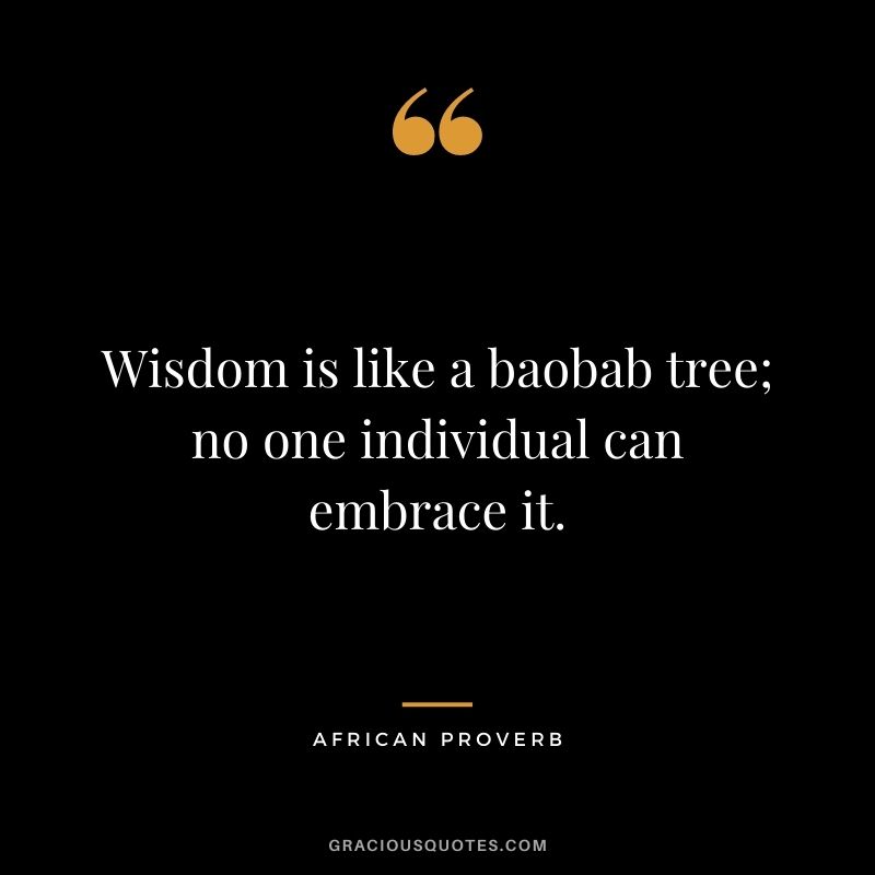 Wisdom is like a baobab tree; no one individual can embrace it.