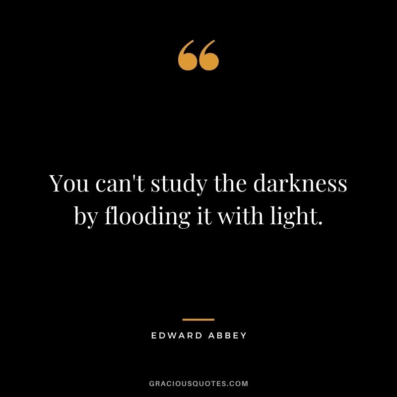 You can't study the darkness by flooding it with light.
