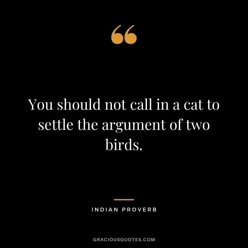 You should not call in a cat to settle the argument of two birds.