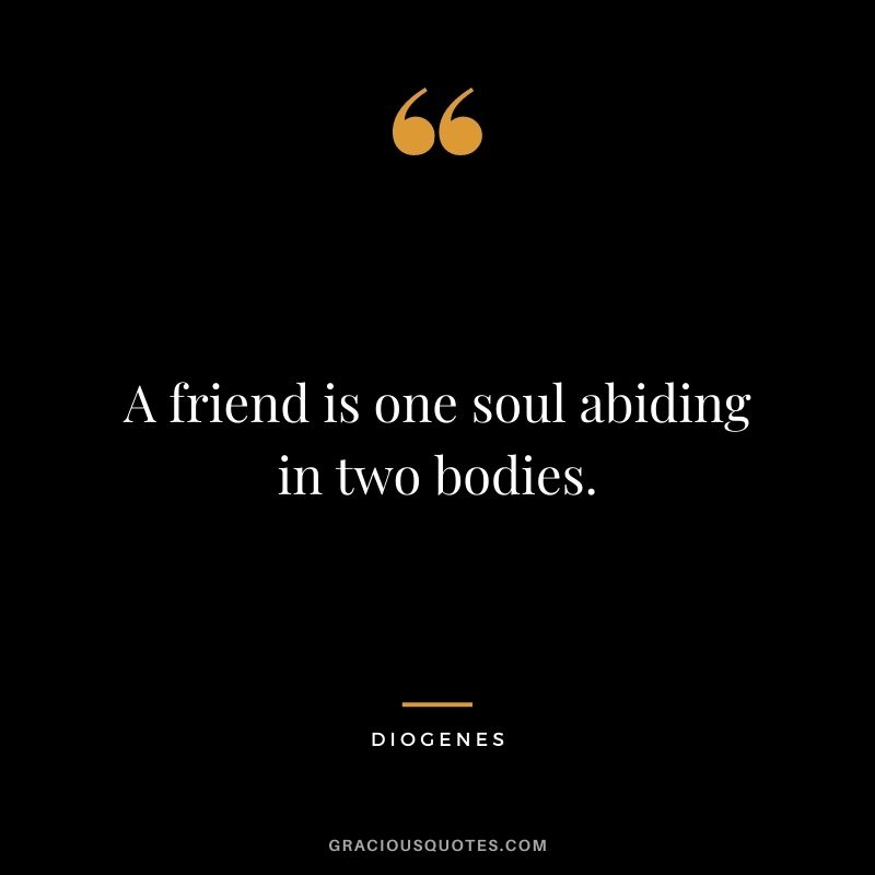 A friend is one soul abiding in two bodies.