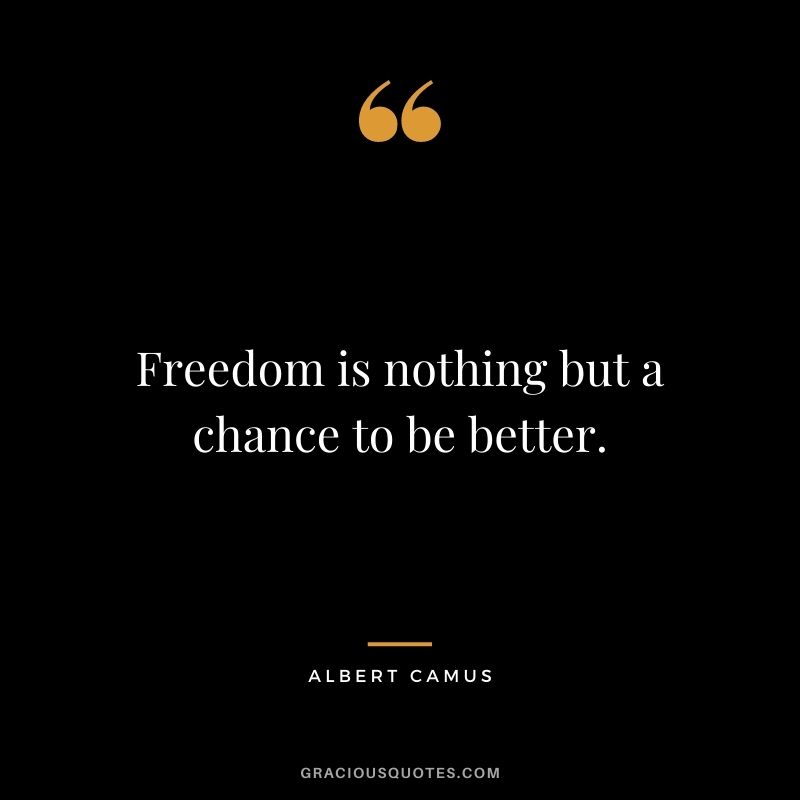 Freedom is nothing but a chance to be better.