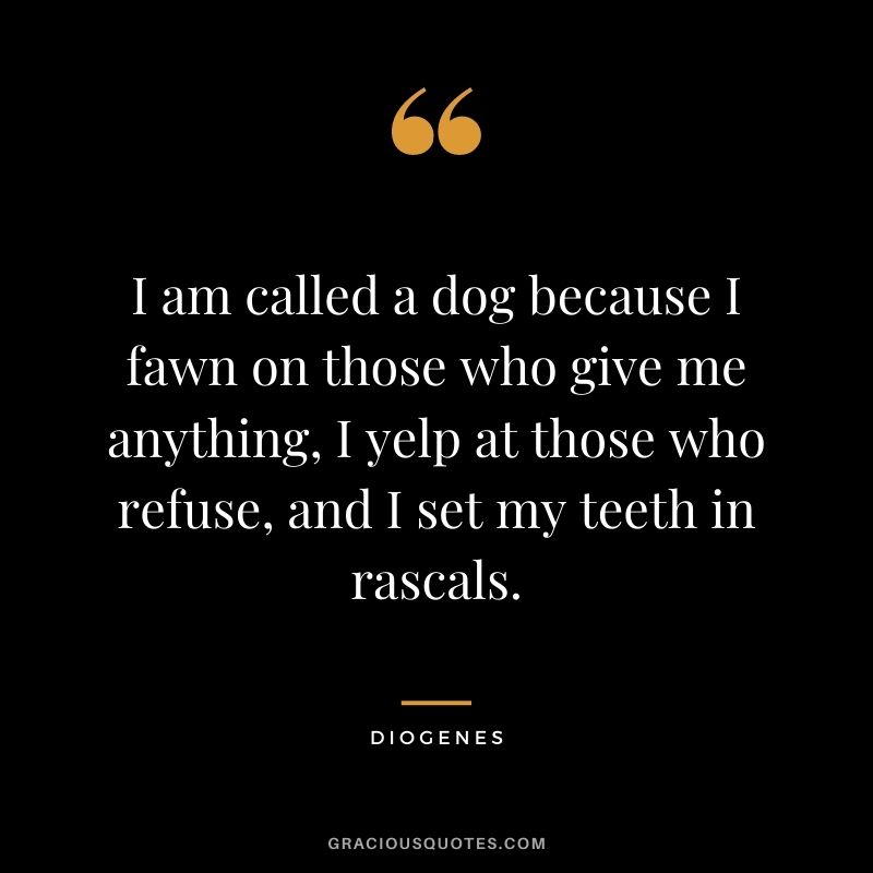 I am called a dog because I fawn on those who give me anything, I yelp at those who refuse, and I set my teeth in rascals.