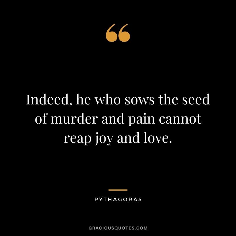 Indeed, he who sows the seed of murder and pain cannot reap joy and love.