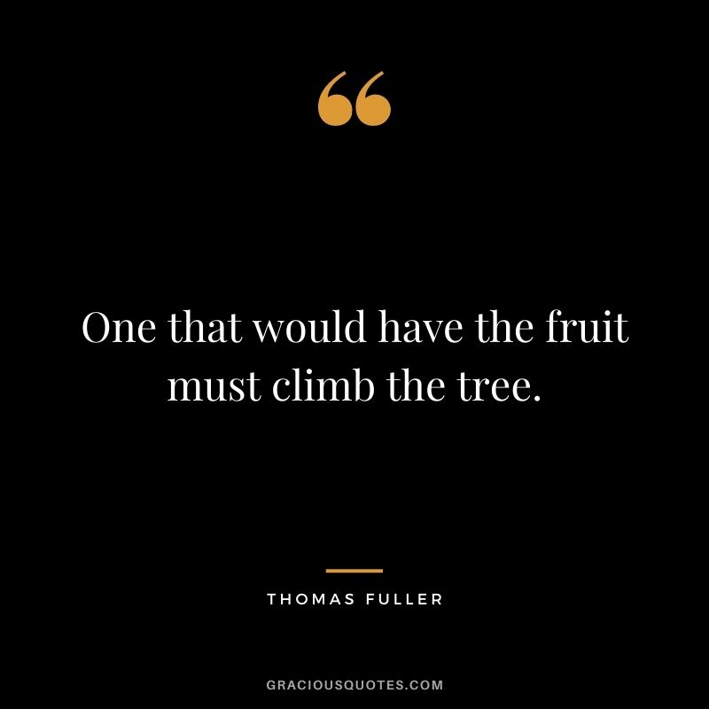 One that would have the fruit must climb the tree.