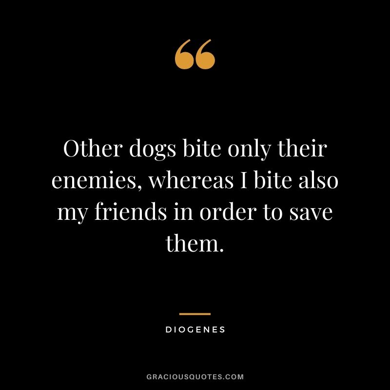 Other dogs bite only their enemies, whereas I bite also my friends in order to save them.