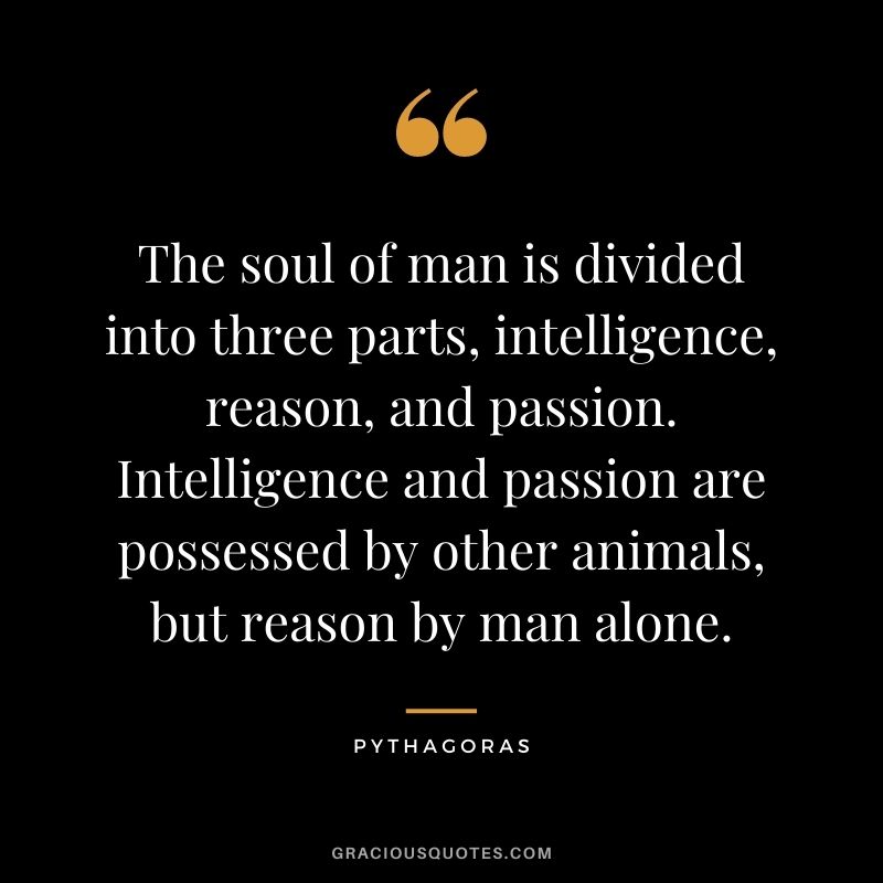 The soul of man is divided into three parts, intelligence, reason, and passion. Intelligence and passion are possessed by other animals, but reason by man alone.