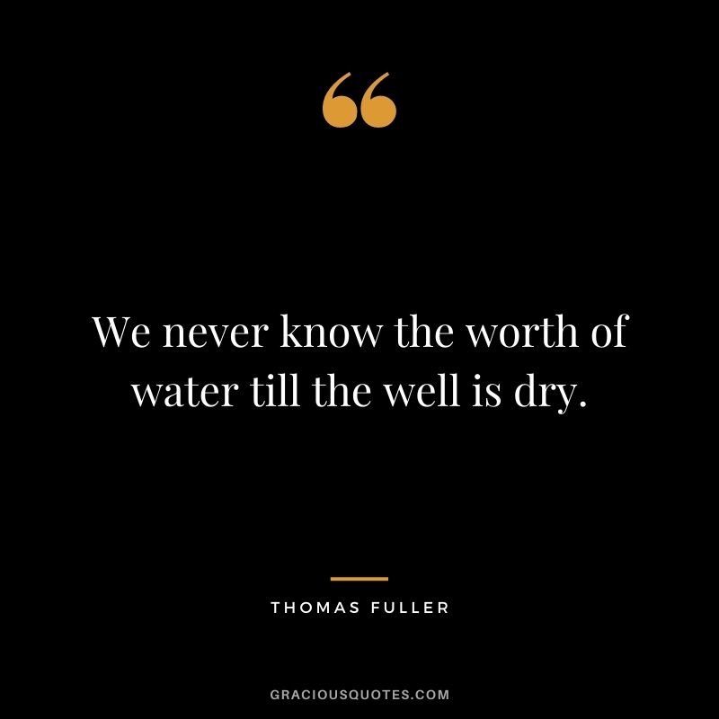 We never know the worth of water till the well is dry.