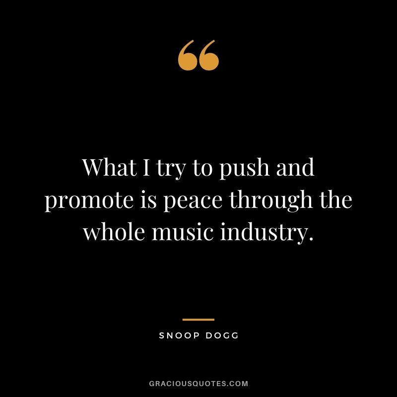 What I try to push and promote is peace through the whole music industry.