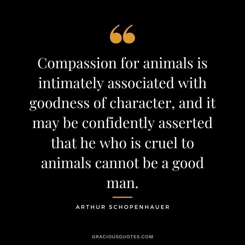 Compassion for animals is intimately associated with goodness of character, and it may be confidently asserted that he who is cruel to animals cannot be a good man.