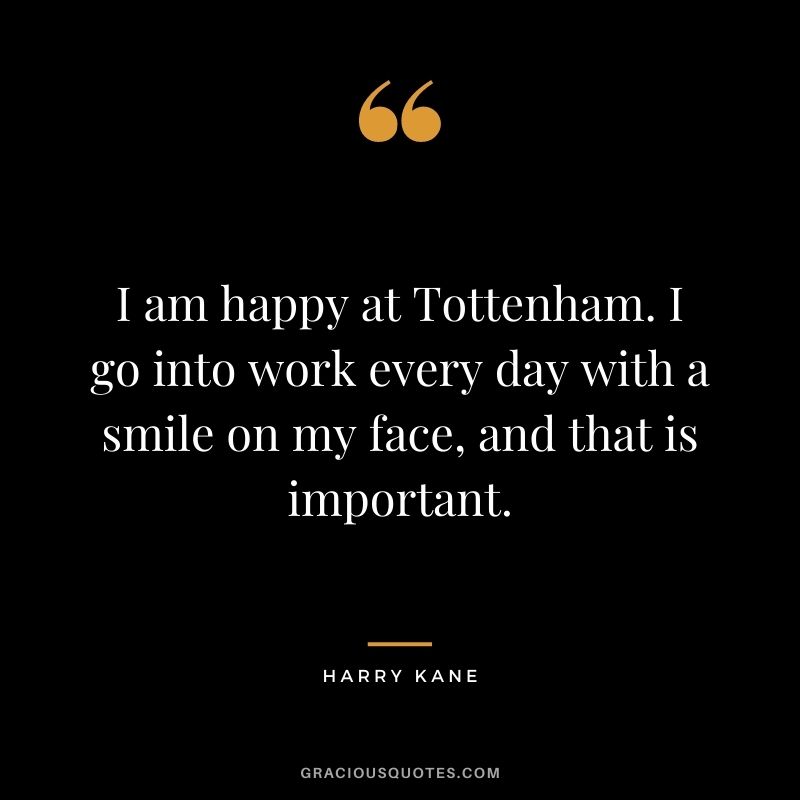 I am happy at Tottenham. I go into work every day with a smile on my face, and that is important.