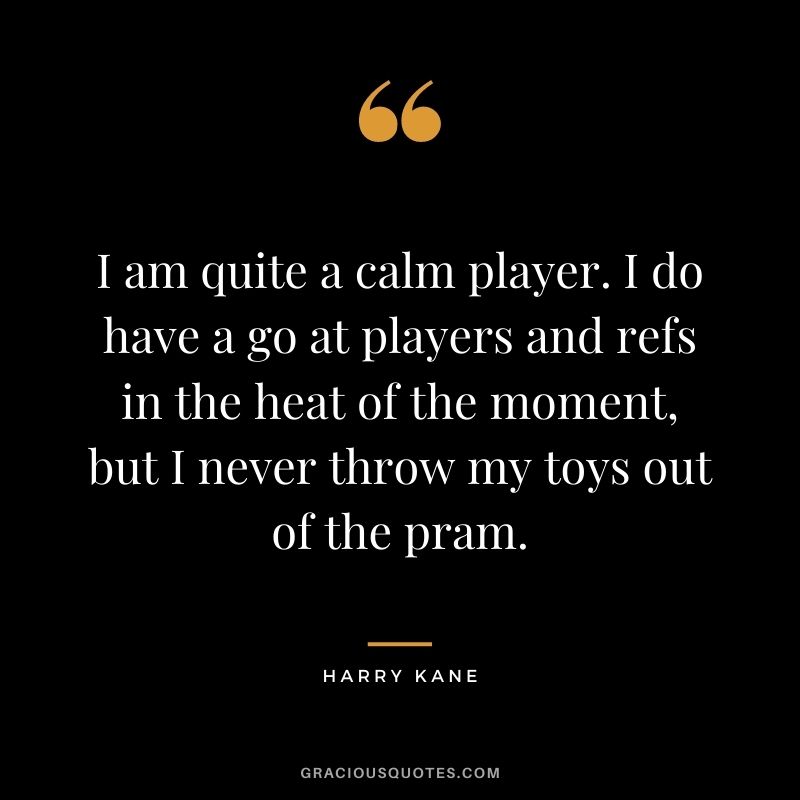 I am quite a calm player. I do have a go at players and refs in the heat of the moment, but I never throw my toys out of the pram.