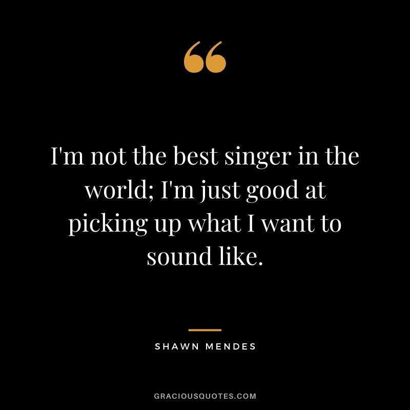 I'm not the best singer in the world; I'm just good at picking up what I want to sound like.
