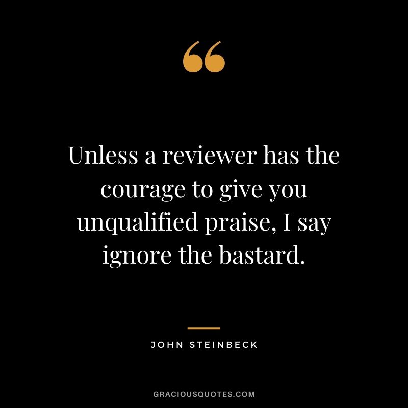 Unless a reviewer has the courage to give you unqualified praise, I say ignore the bastard.