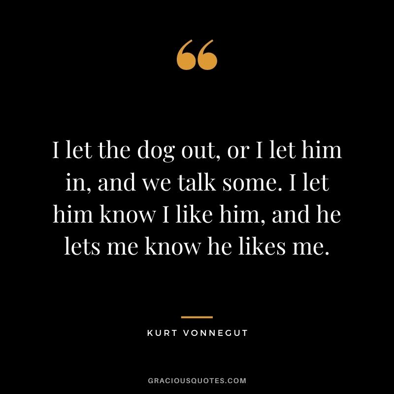 I let the dog out, or I let him in, and we talk some. I let him know I like him, and he lets me know he likes me.