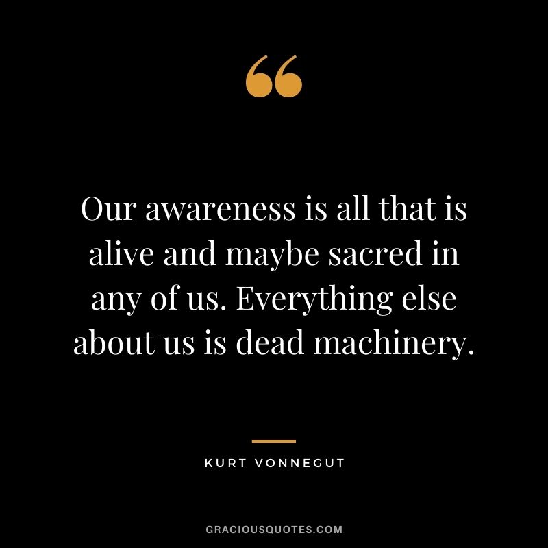 Our awareness is all that is alive and maybe sacred in any of us. Everything else about us is dead machinery.
