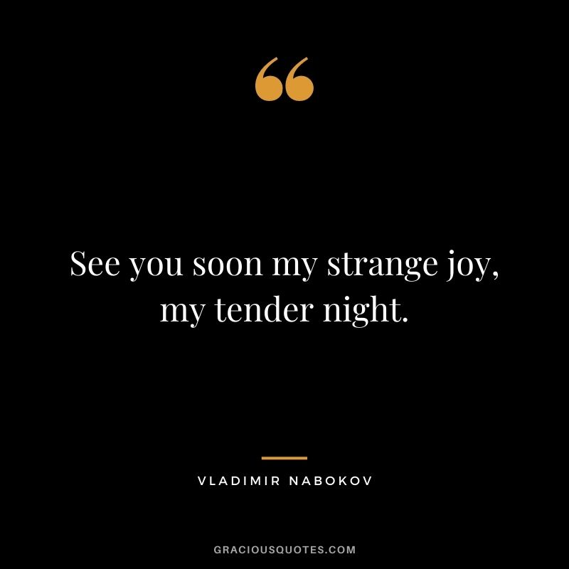 See you soon my strange joy, my tender night.